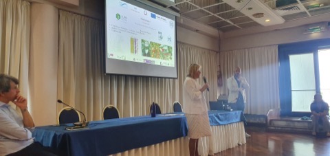 Second Meeting &ndash; 6 Luglio 2024