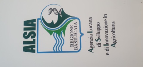 Second Meeting &ndash; 6 Luglio 2024